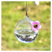 Hangend glazen terrarium Mooie creatieve glazen vaas